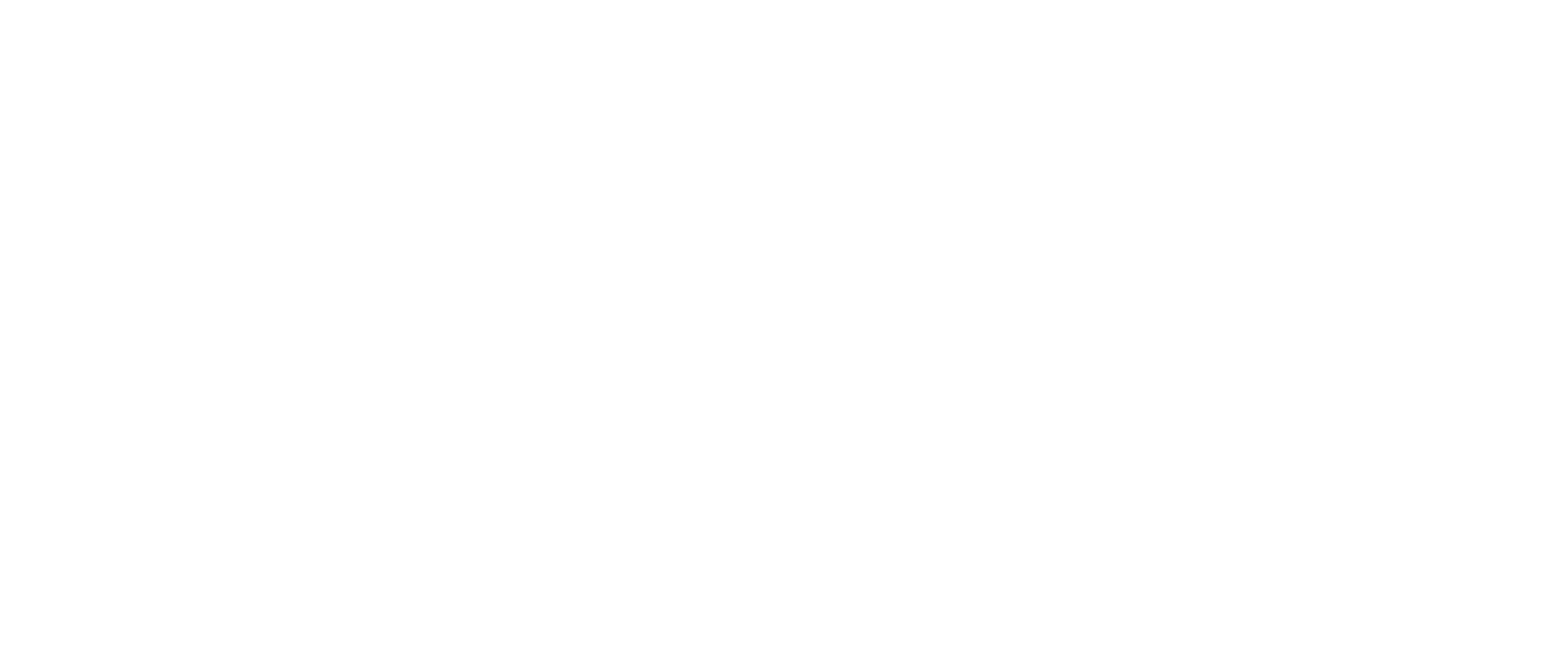 Logo CAREMI
